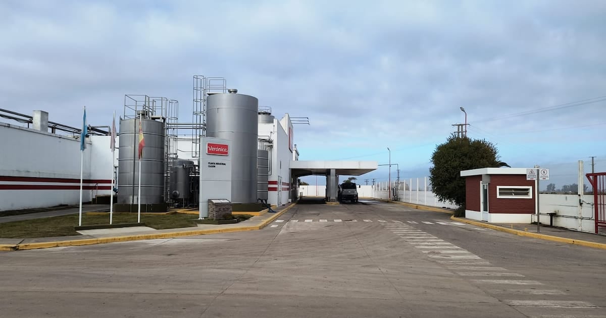 Verónica vende sus plantas de Clason y Suardi por 15,5 millones de dólares y transfiere a 225 operarios para atenuar un pasivo de 118.496 millones de pesos