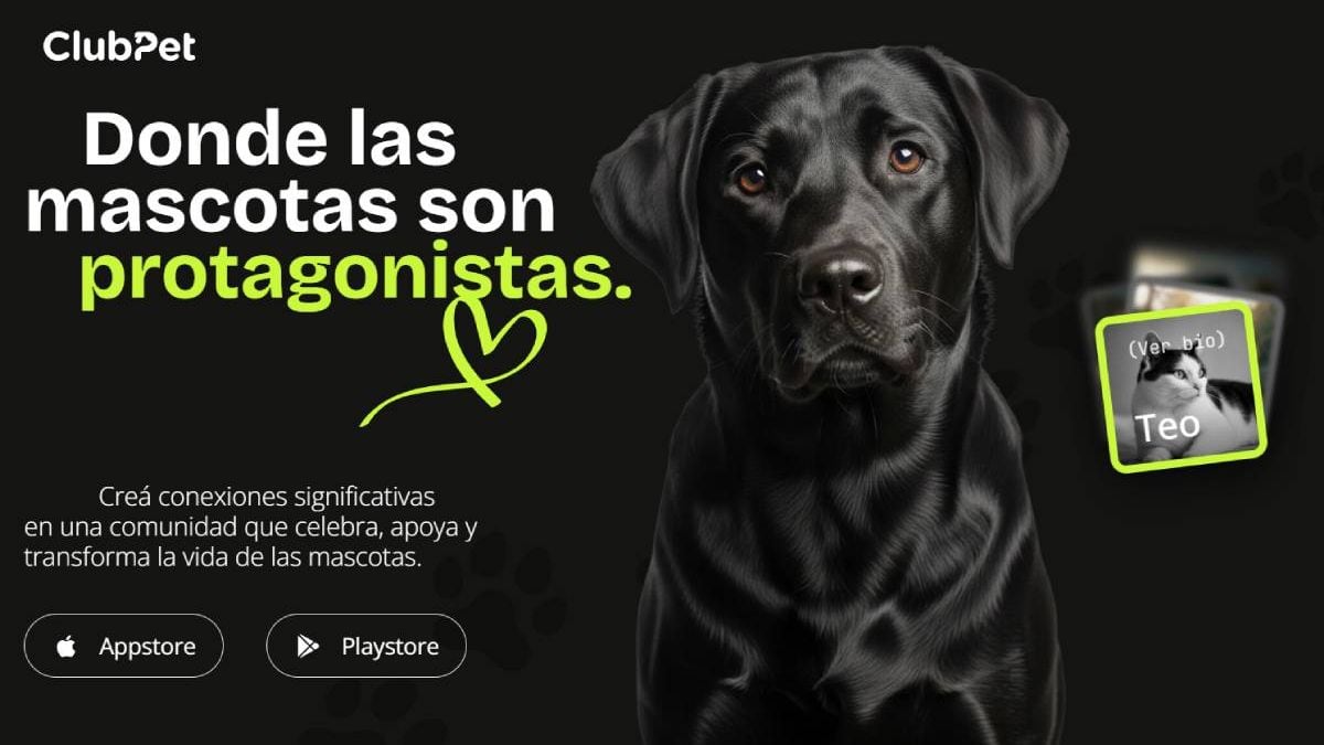 Neuquén abre una jornada de adopción responsable y suma una app gratuita para centralizar los servicios para mascotas