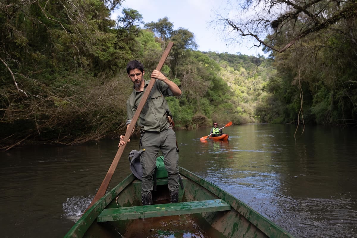A 290 kilómetros de Iguazú, una reserva de Misiones combina cabañas sobre el arroyo, kayak y un vivero que produce hasta 200.000 plantines por año