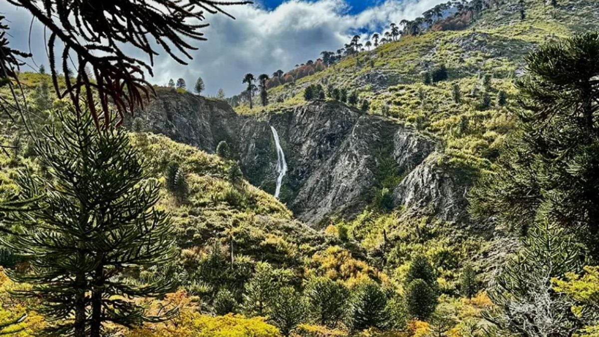 Pulmarí salió a cruzar a los que ofrecen lotes en su territorio: "No paguen, no firmen"