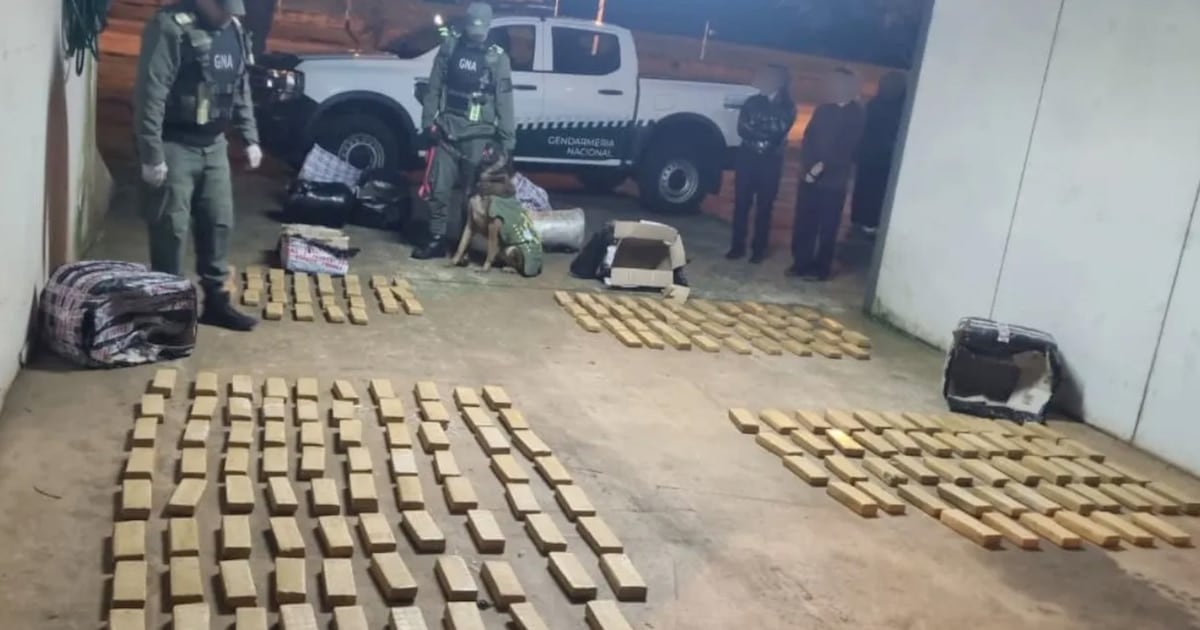 Más de 142 kilos de marihuana abandonados en un micro que iba de Misiones a Buenos Aires: Gendarmería los encontró sin dueño ni identificación