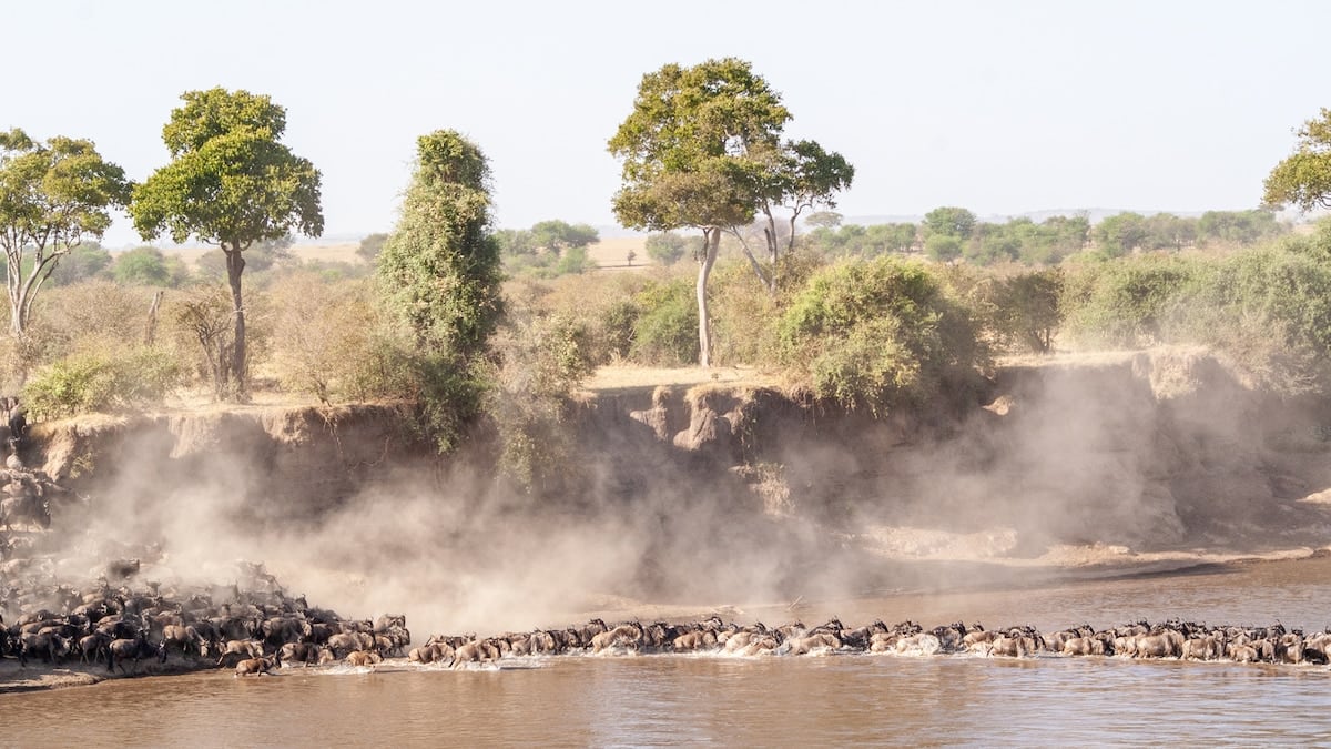 Tres parques, una migración y pueblos ancestrales: lo que hay que saber antes de recorrer el norte de Tanzania