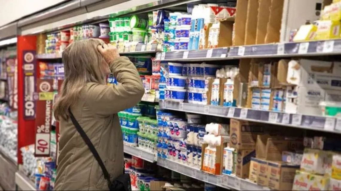 Casi nueve de cada diez hogares argentinos debieron financiar la compra de alimentos en septiembre, según el IETSE