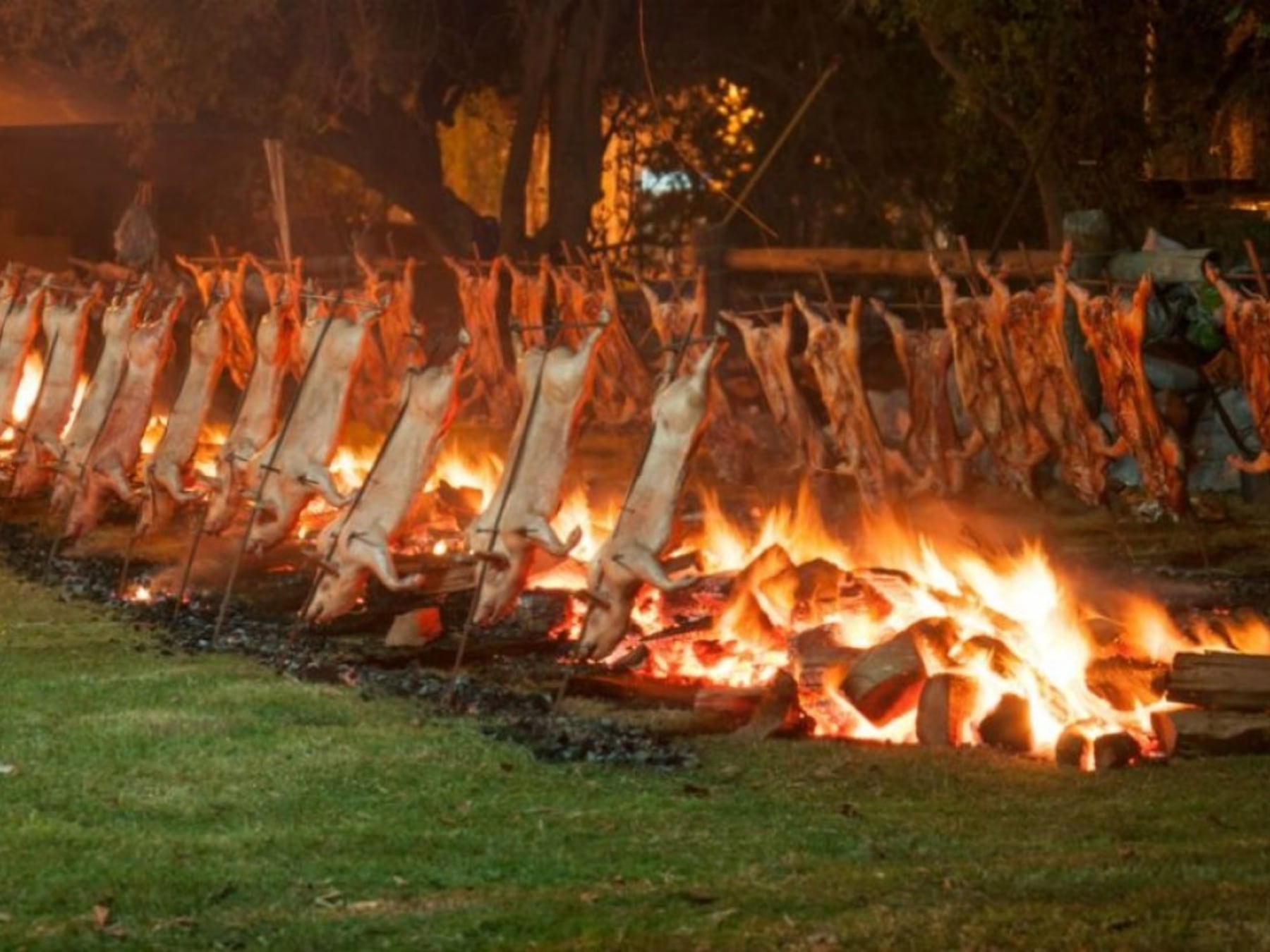 Cinco fiestas, mil sabores: la agenda bonaerense para el feriado de octubre