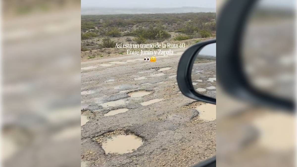 Ruta 40 en Neuquén: el tramo Junín-Zapala acumula tres decenas de kilómetros con pozos severos y obliga a circular a paso de hombre