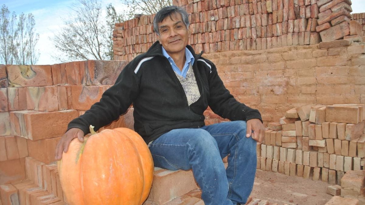 En el Valle del Covunco, el zapallo vuelve a ser cuestión de orgullo y se sortea entre los vecinos que quieran animarse a sembrar