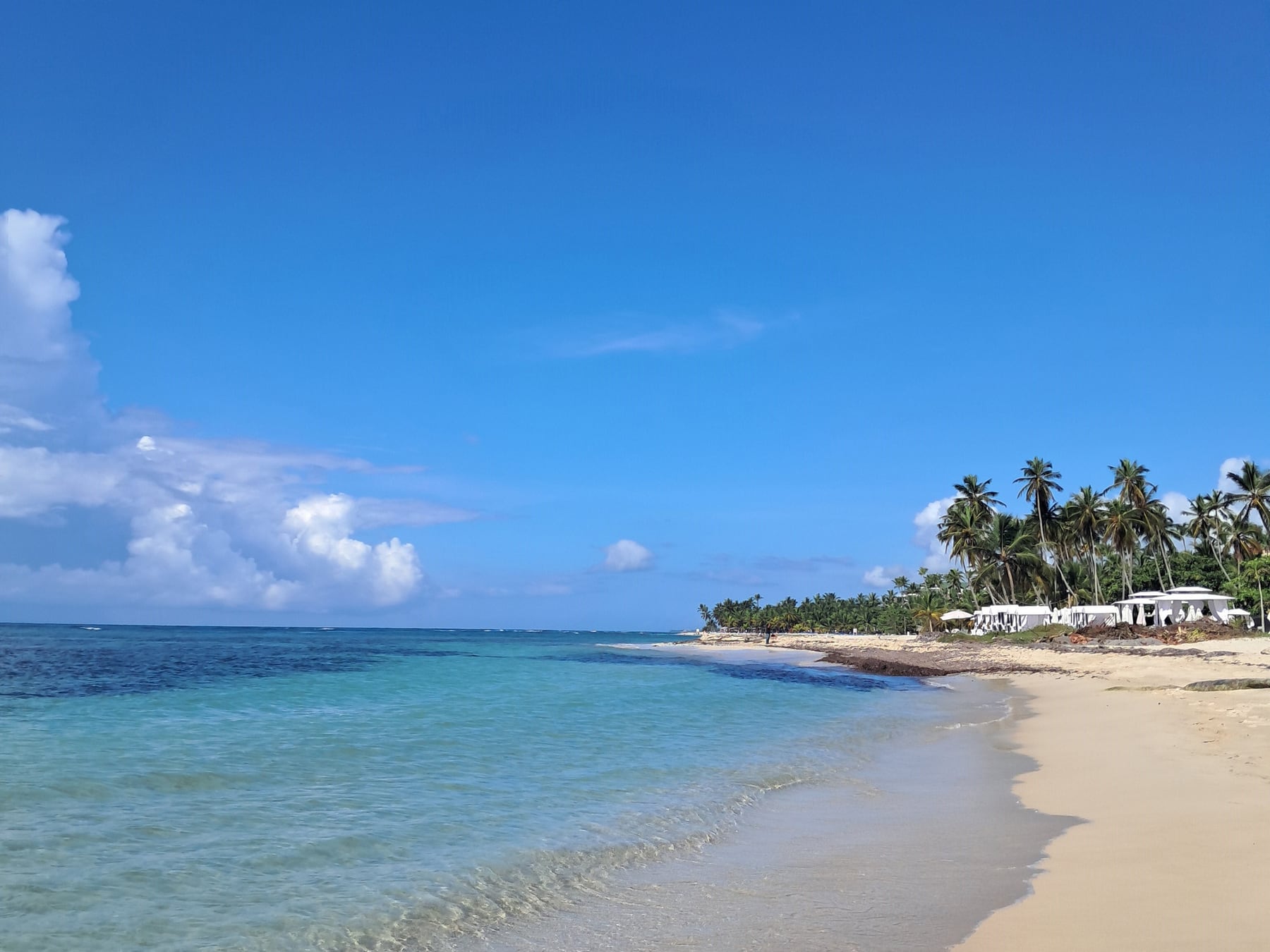 República Dominicana, de fiesta: por qué cada vez más argentinos eligen el Caribe más allá de las postales conocidas