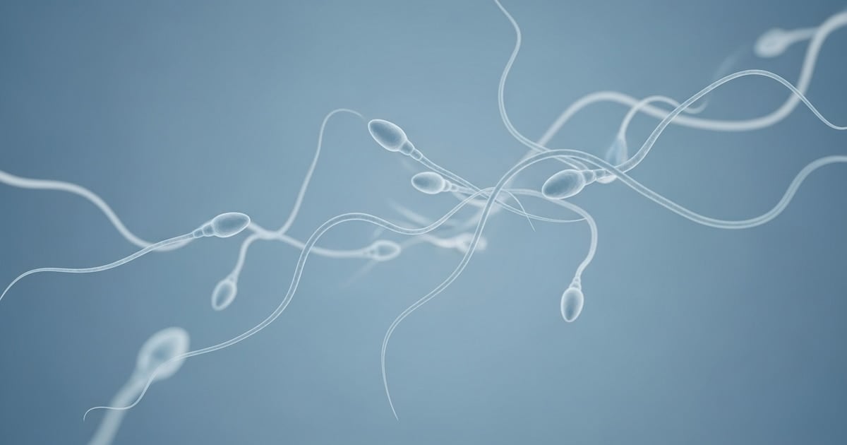 Un joven britannique reçoit une greffe de tissu testiculaire pour tenter de récupérer sa fertilité après une chimiothérapie