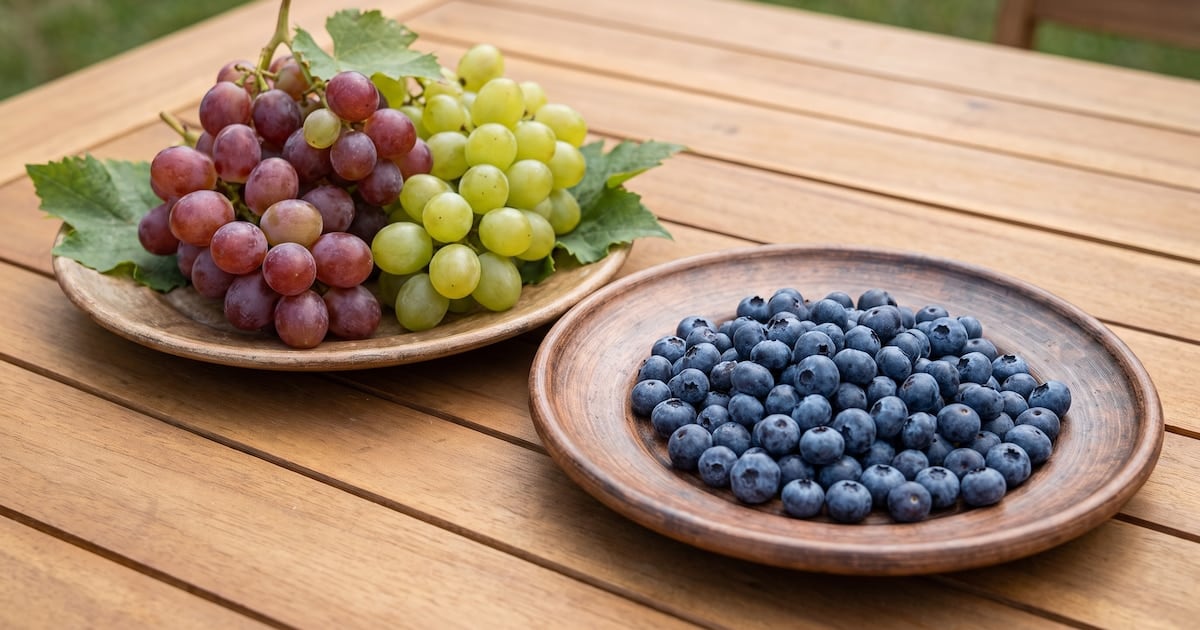 Arándanos o uvas: la fibra manda cuando el plato es de estación