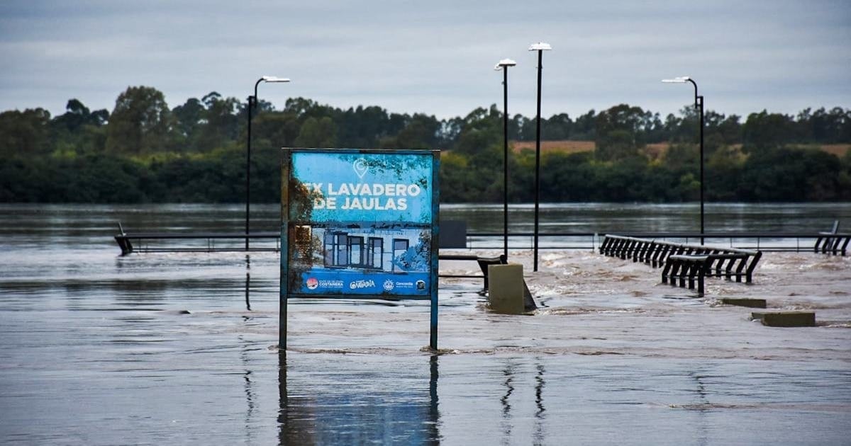 El Niño empuja al ganado y al agro argentino a un diciembre con más agua, más kilowatts baratos y hasta 10% más en la carne