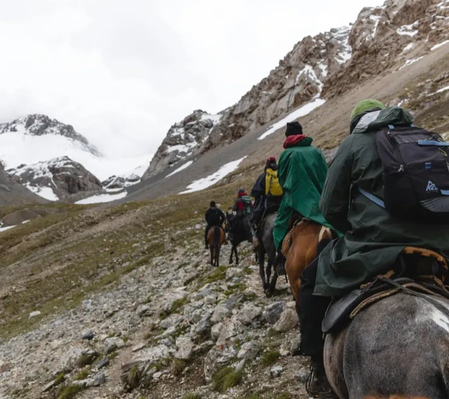 La Vega, el rincón neuquino donde los caballos se acarician antes de salir a caminar