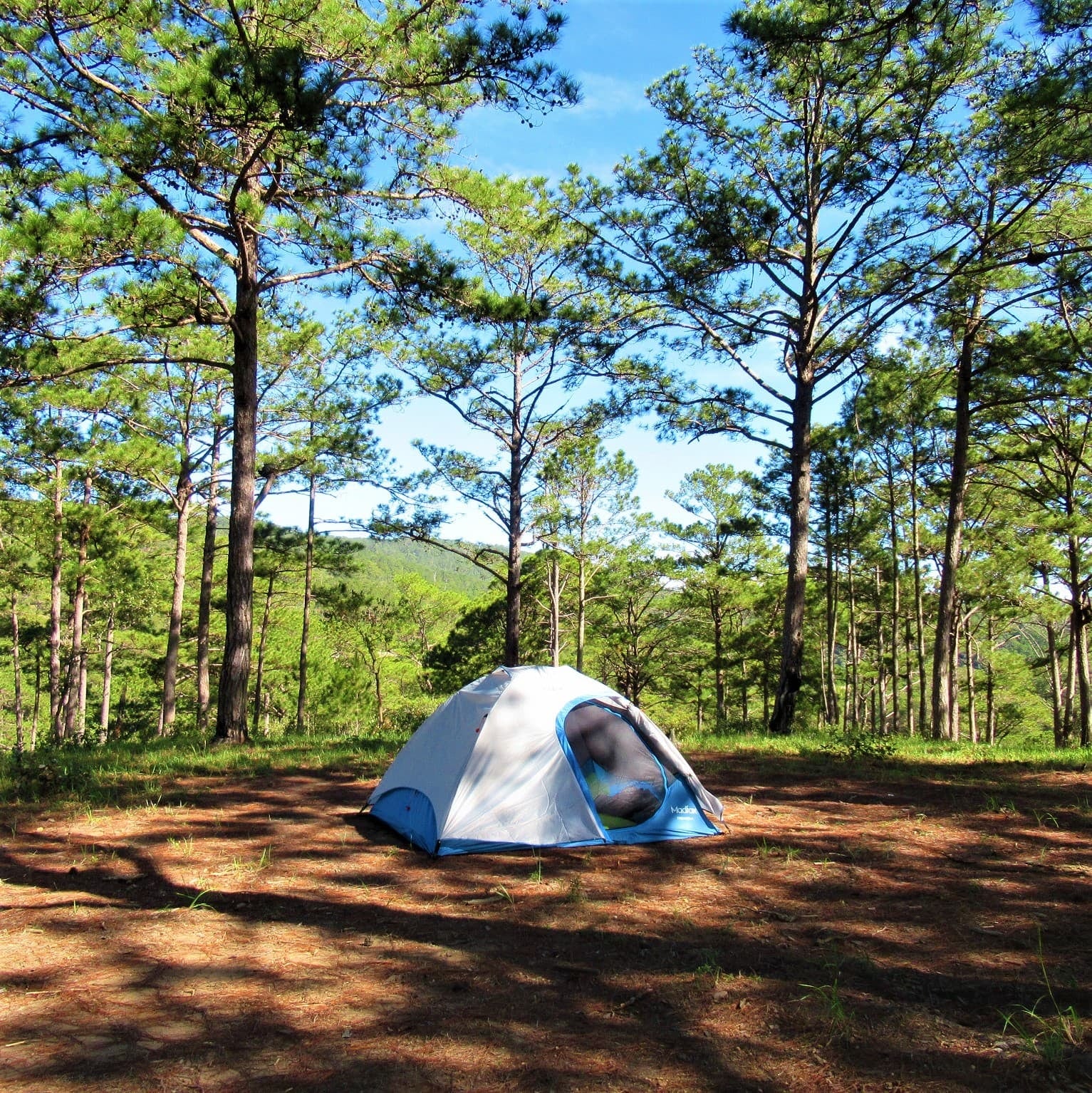 Huttopia llega a Mar Azul con un camping de 55 hectáreas y apertura el 4 de diciembre