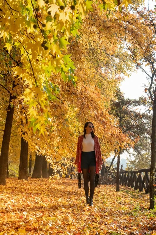 Doce capitales europeas para descubrir el otoño sin correr